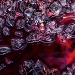 rectified_concentrated_grape_must