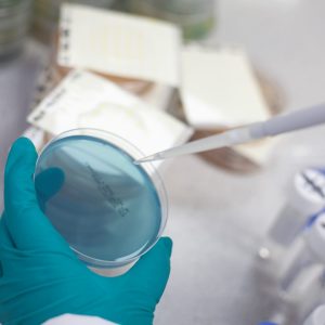 potassium_sorbate_testing