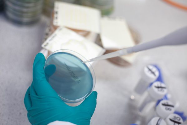 potassium_sorbate_testing
