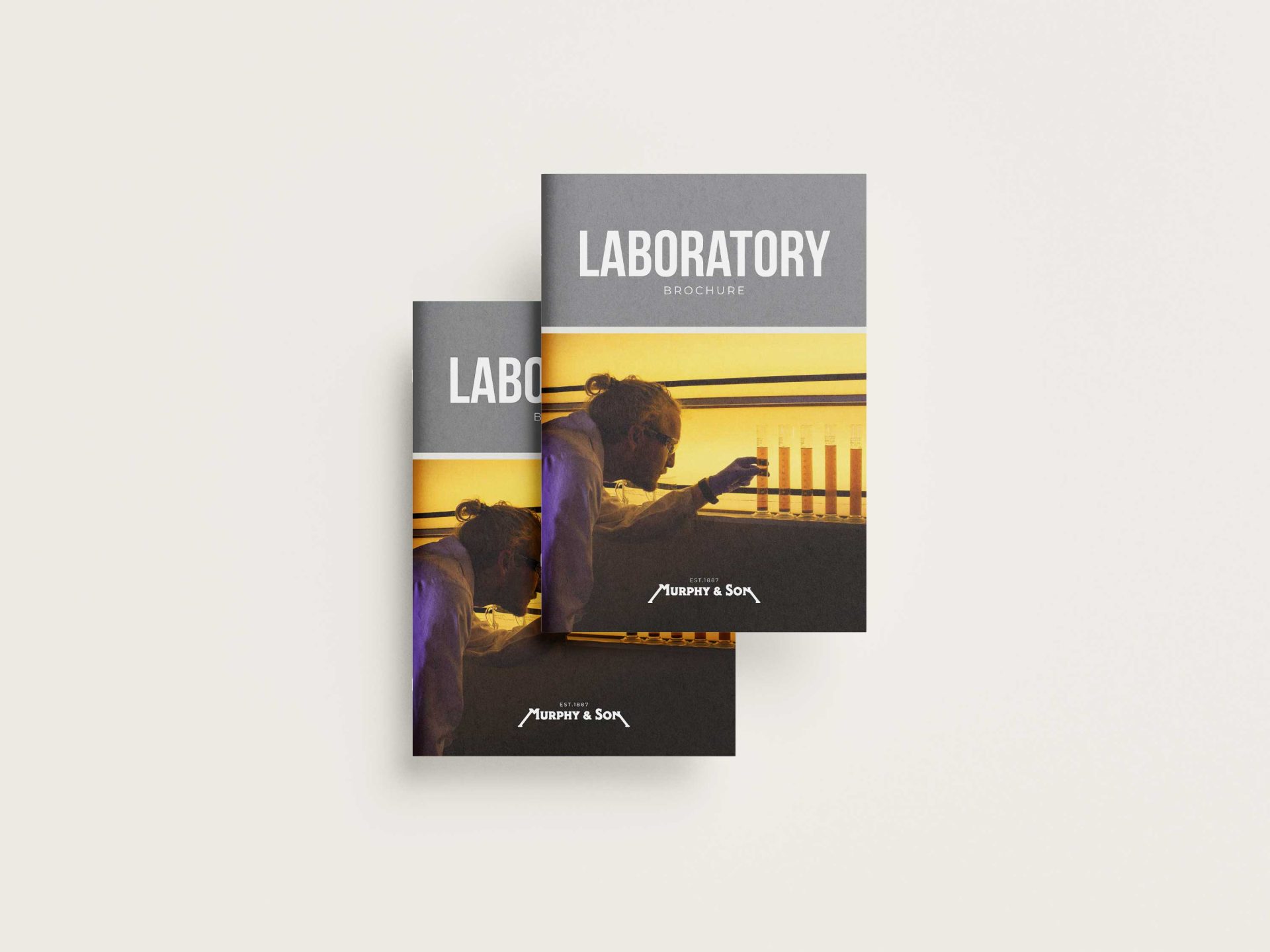 Image of Laboratory Brochure